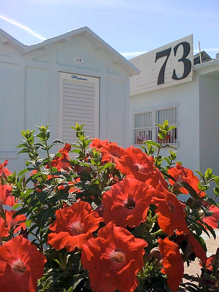 Hotel Villa Platani