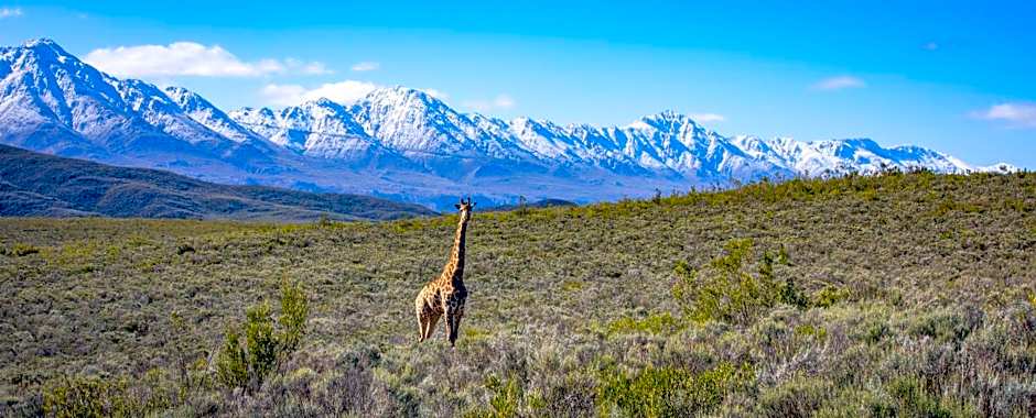 Wildehondekloof Game Lodge