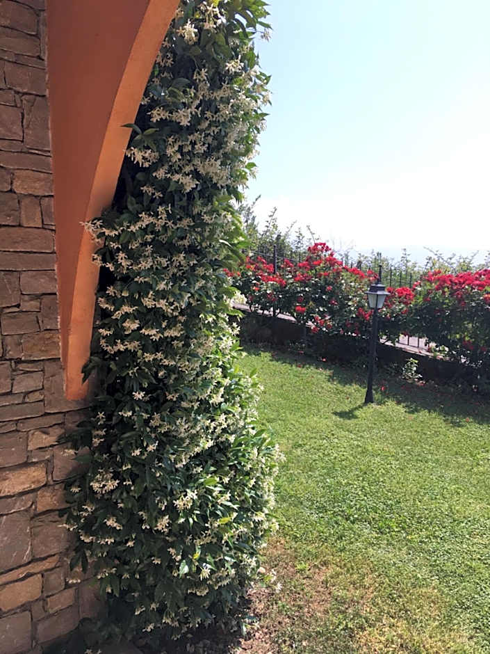 Belvedere Hotel & Villa