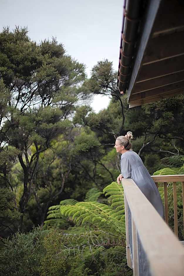 Tui & Nikau Cabins