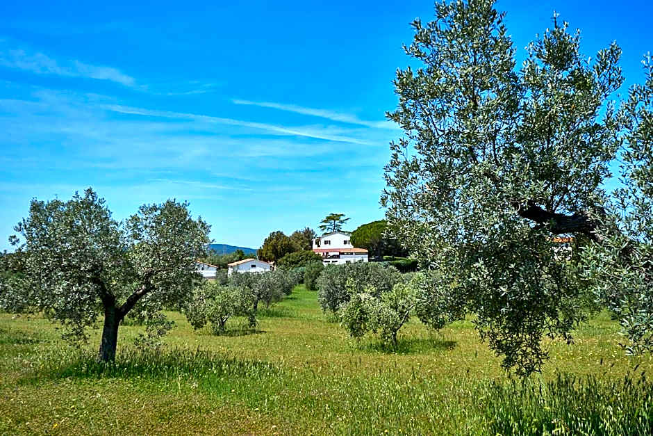 Agriturismo Tesorino