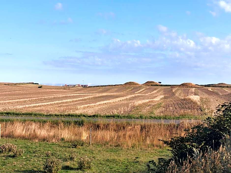 Rikke og Franks Svineri