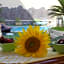 Hotel La Filadelfia