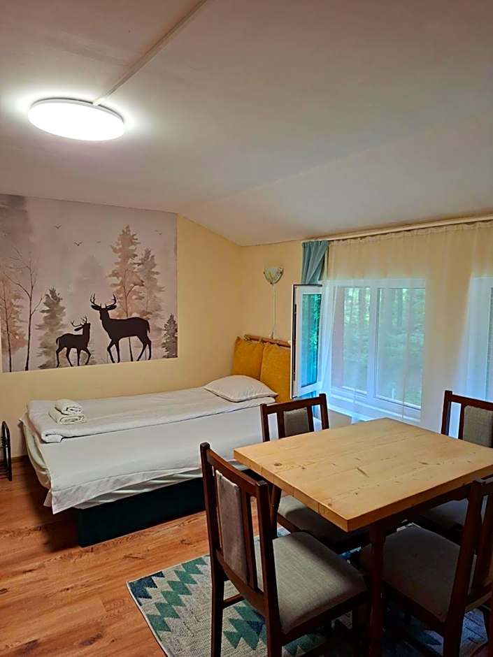 Villa Sveti Dimitar