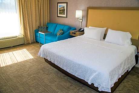 1 King Mobility/Hearing Access Tub Studio Ns