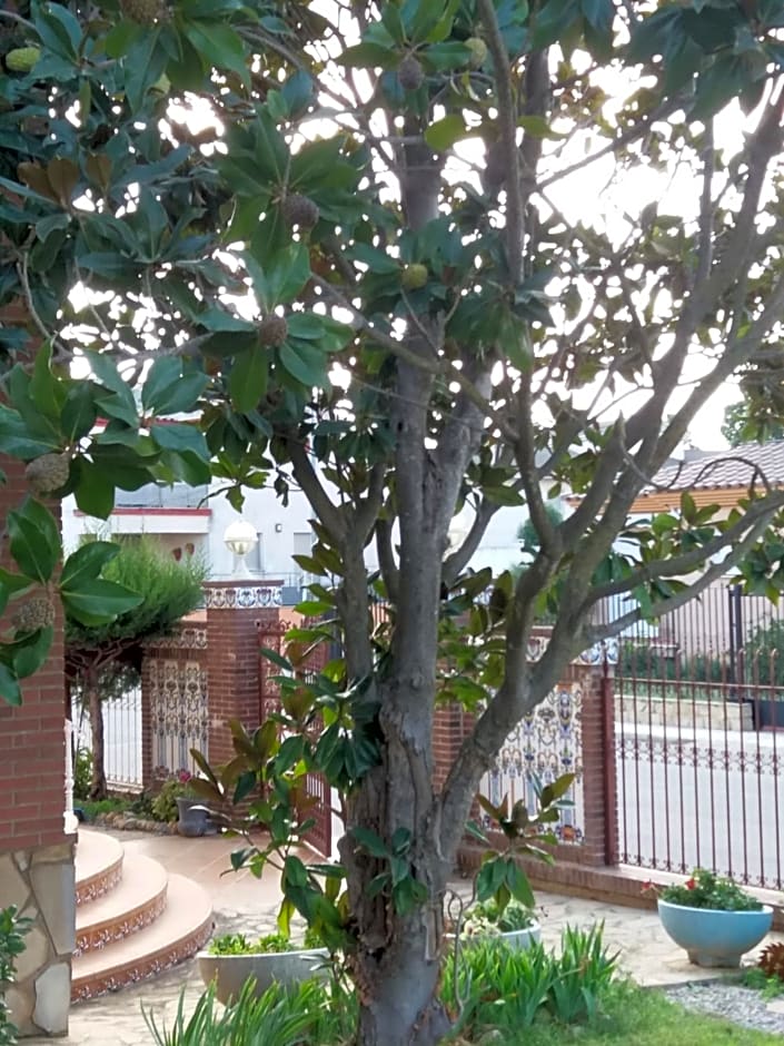 Villa los Angeles Piscine privée 16 pers