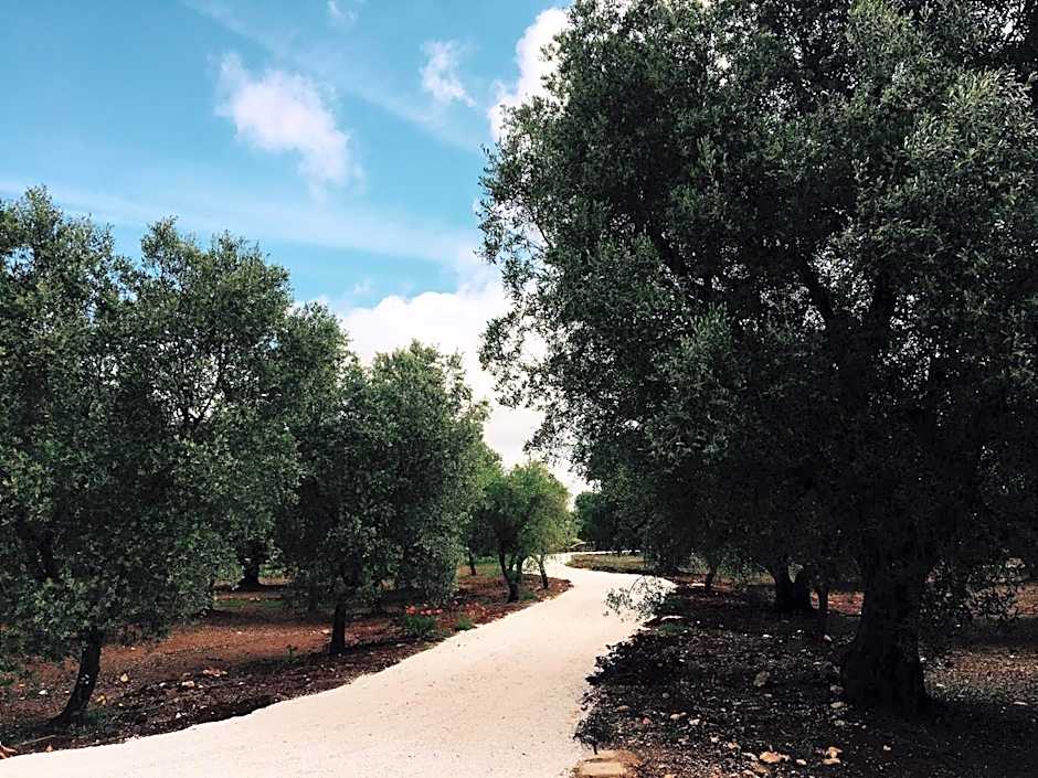 Fikus - the Apulian B&B