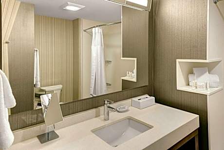 Executive, Larger Guest room, 1 King, Sofa bed