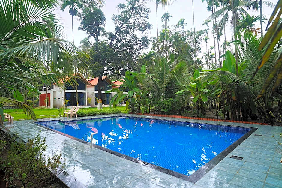 The Enchanted Nest By Privy Stays