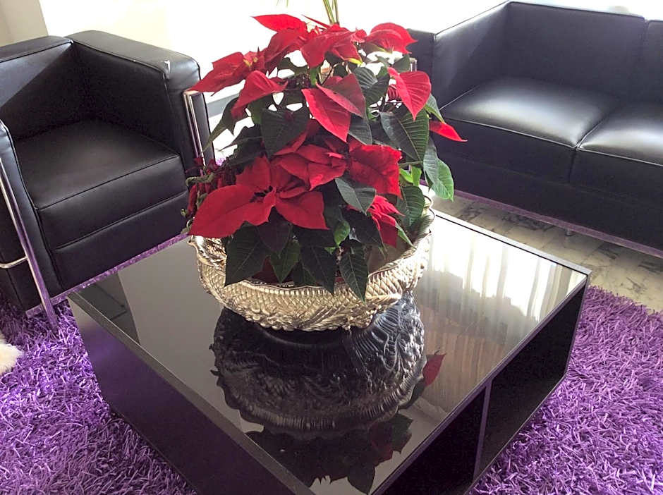 Hotel Ariston & Apartments