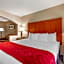 Comfort Suites Dallas Park Central