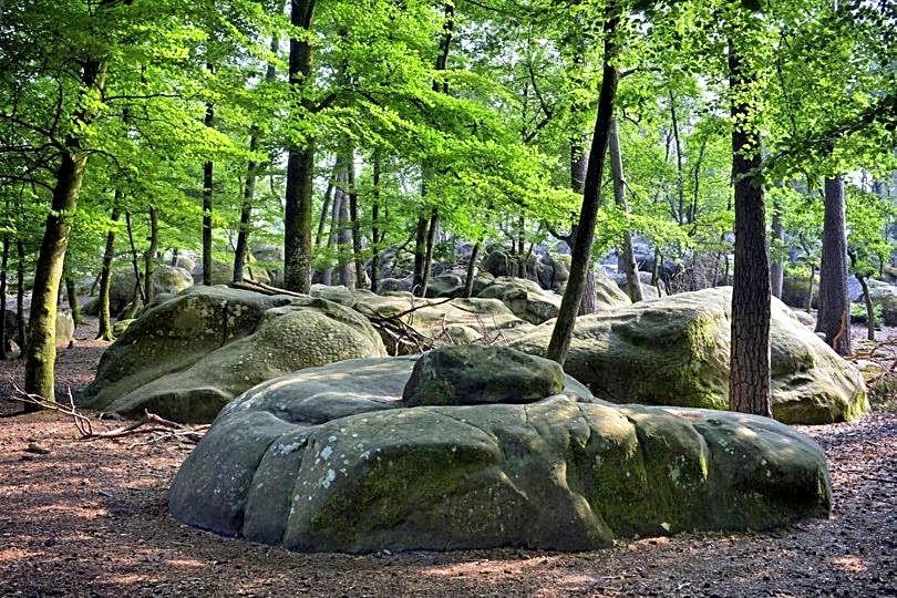 Maison de charme en forêt de Fontainebleau