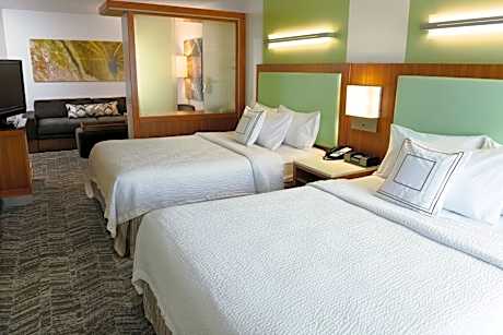 Queen Studio with Sofa Bed and Adapted Tub - Mobility and Hearing Accessible