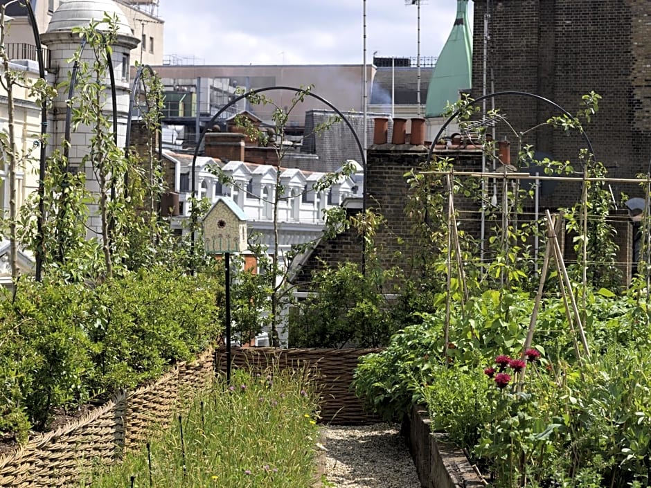 Ham Yard Hotel, Firmdale Hotels