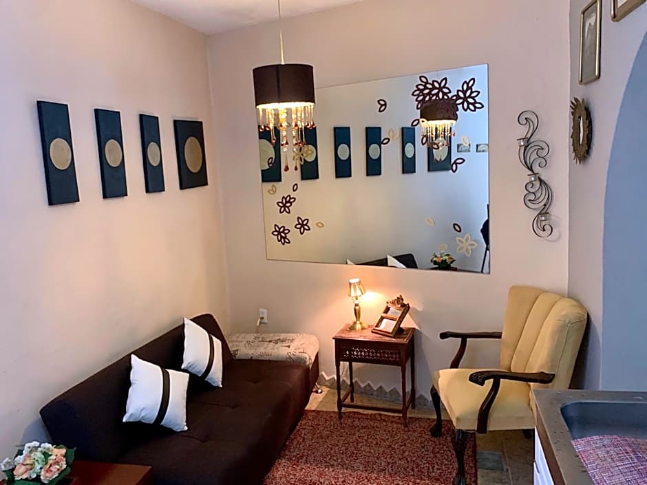 Satya Suites & Portal San Angel Flats