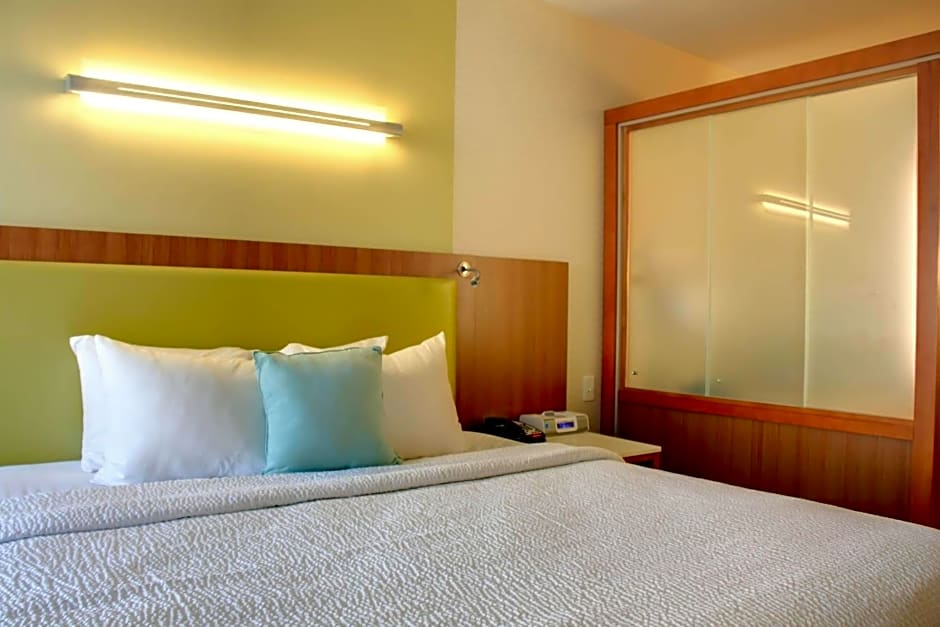 SpringHill Suites by Marriott Scranton Montage Mountain