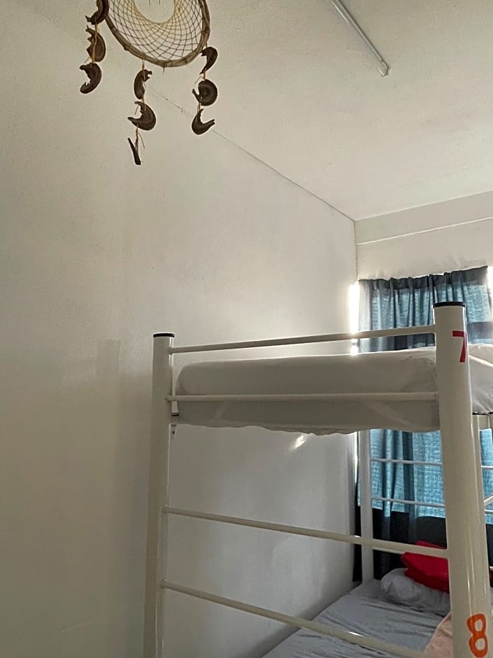 Vive Alegria Hostel