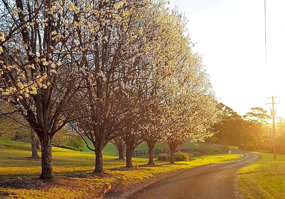 The Drawing Rooms of Berry