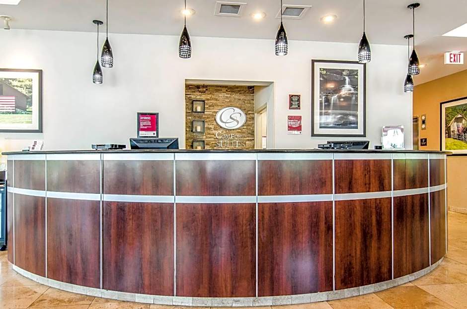 Comfort Suites Bentonville - Rogers