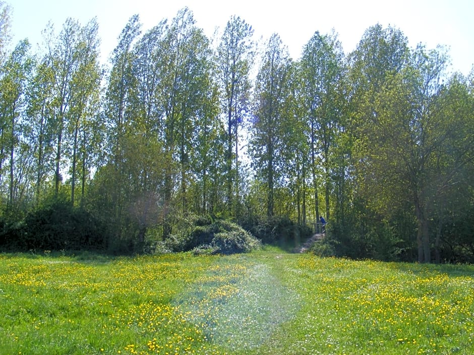 Chambres d'Hôtes Vignes et Loire