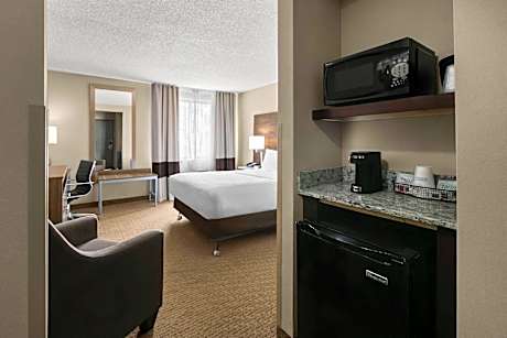 Queen Room with Roll-In Shower - Mobility and Hearing Accessible/Non-Smoking