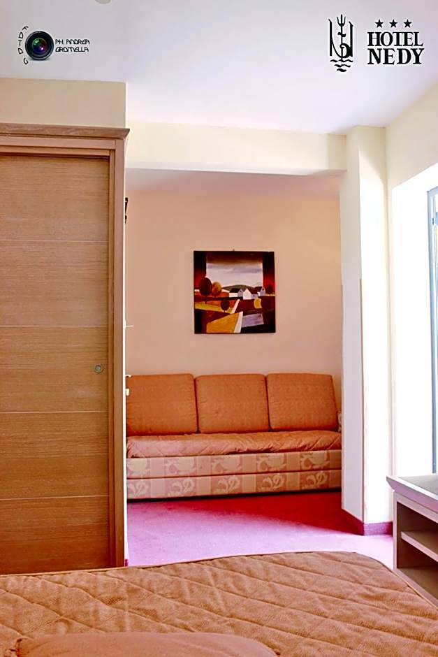 Hotel Nedy