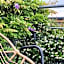 Aux Herbes Hautes