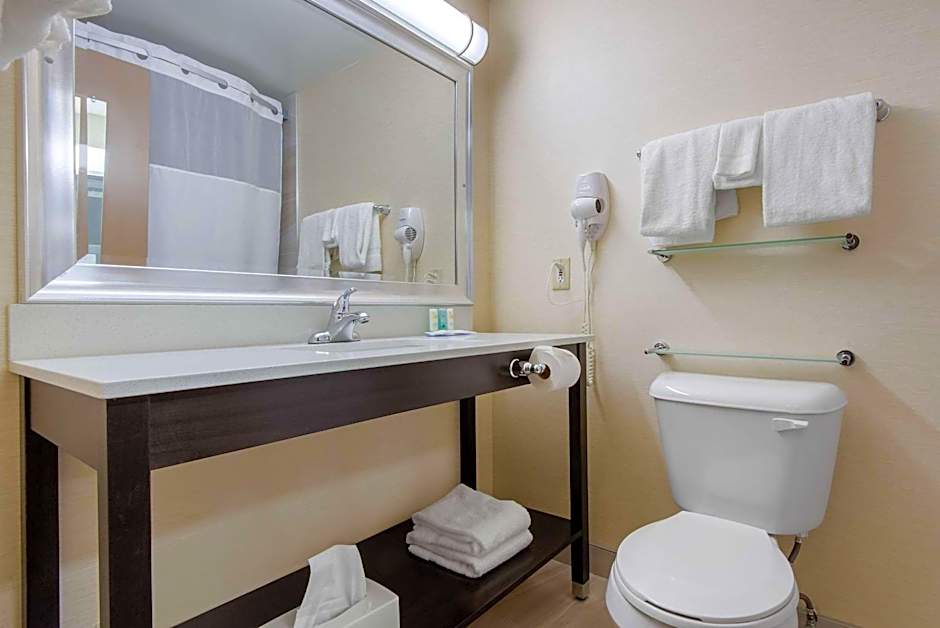 Quality Inn & Conference Centre Downtown