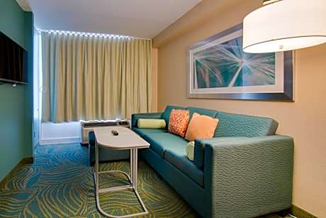 King Studio with Sofa Bed - Hearing Accessible