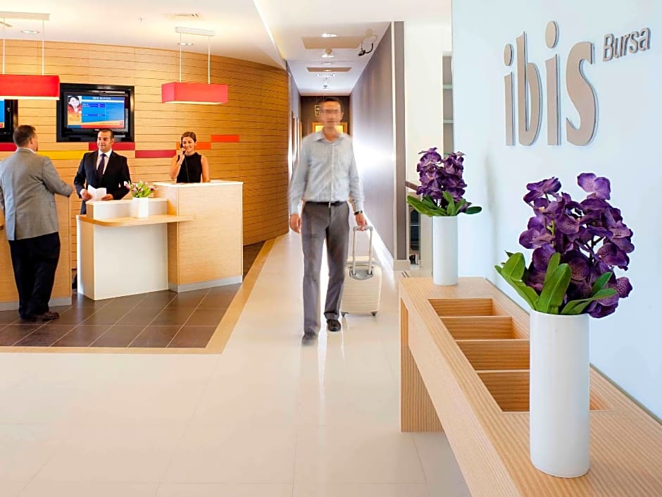 Ibis Bursa