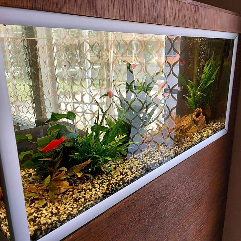 Citystop Majutuskeskus