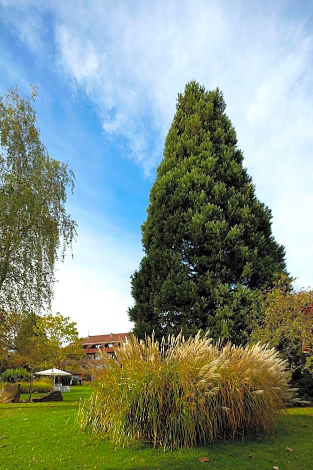 NaturKulturHotel Stumpf