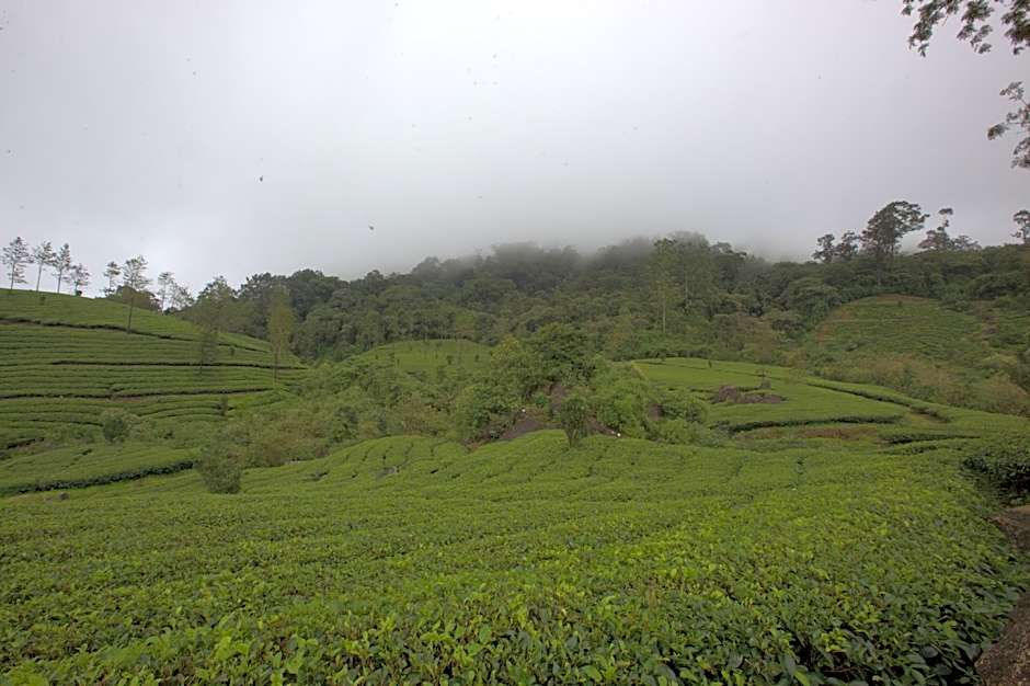 Hotel Grand Plaza Munnar