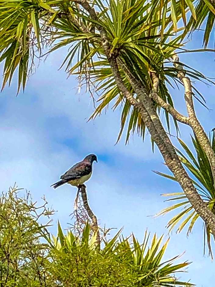 The Station House Motel