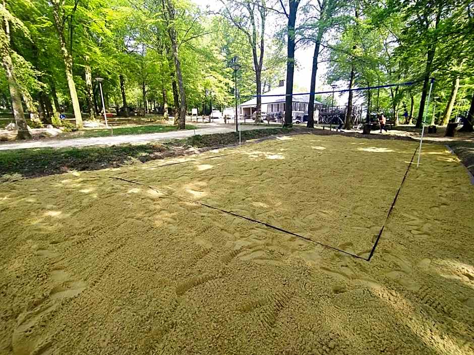 L'étape en forêt
