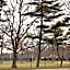 Coliseum Inn & Suites - Garden City Long Island