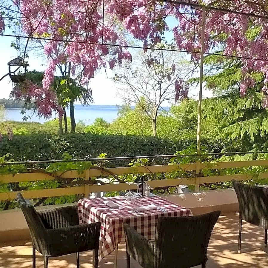 Photo 1 of 40 of Hotel Ristorante Sole