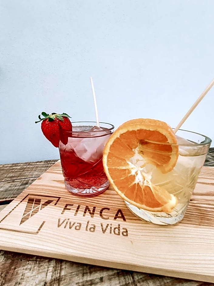 Finca Viva la Vida