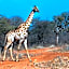 Palala Boutique Game Lodge and Spa