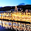 Parkhotel Pörtschach - Das Hotelresort mit Insellage am Wörthersee