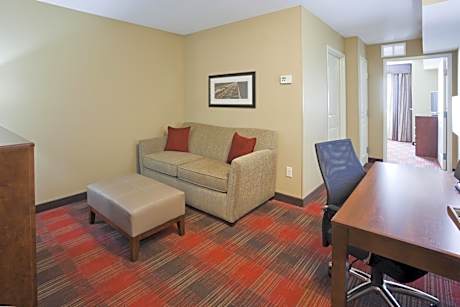 One-Bedroom King Suite with Sofa Bed