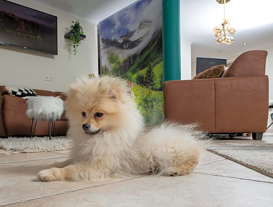 allgovia hotel garni