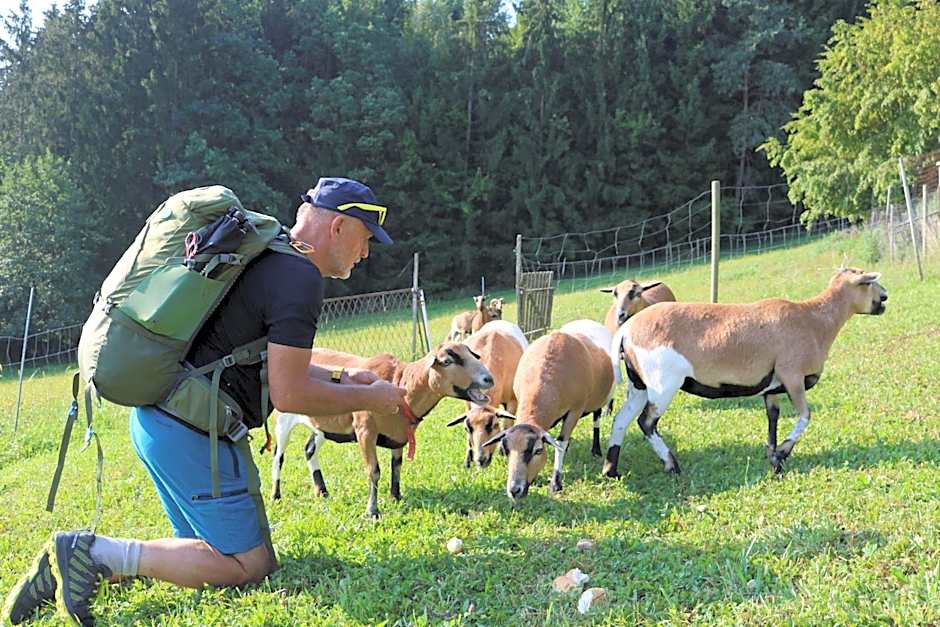 FerienAppartments Landhaus FühlDichWohl