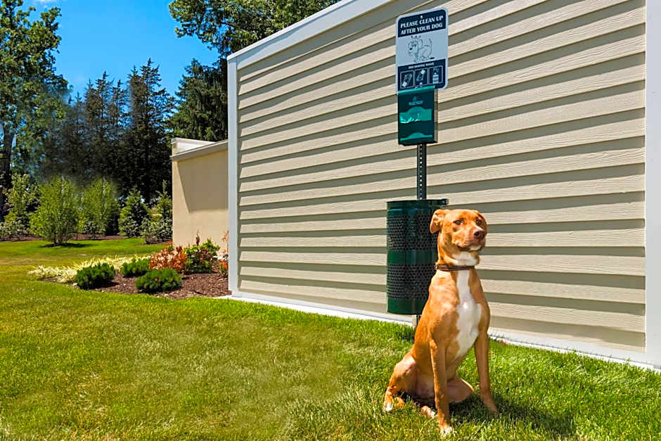 TownePlace Suites by Marriott Latham Albany Airport