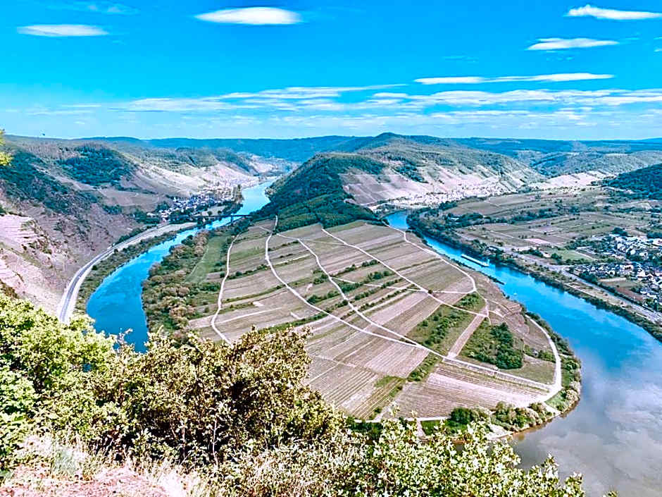Hotel Haus Burg Metternich