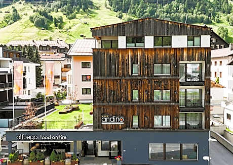 Hotel Andino