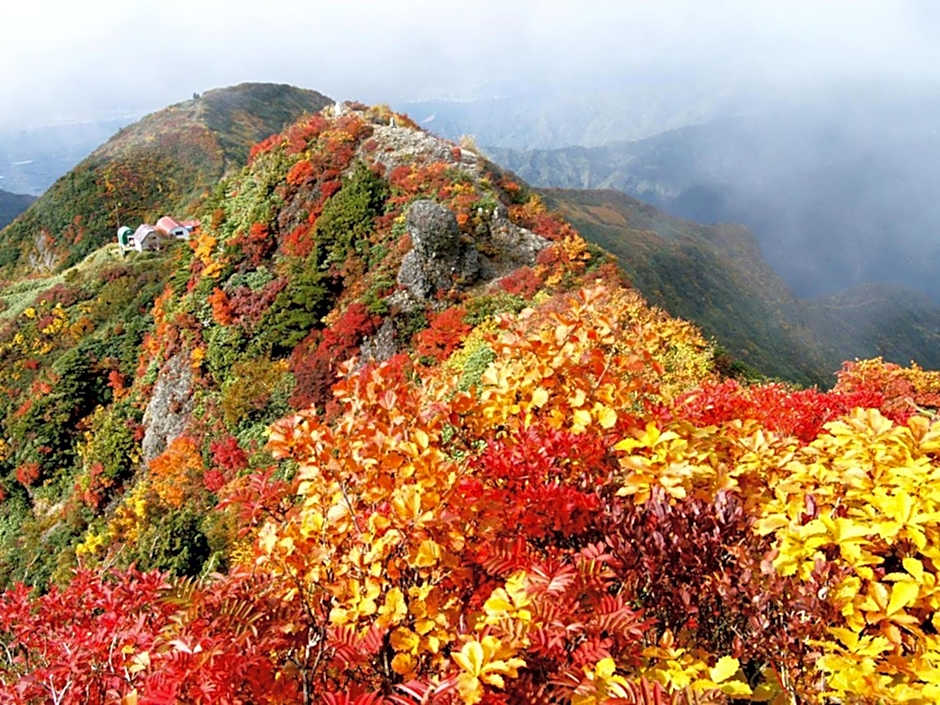 Pension Come Tatami-room with a calm atmosphere - Vacation STAY 14983