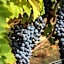 Musella Winery & Relais