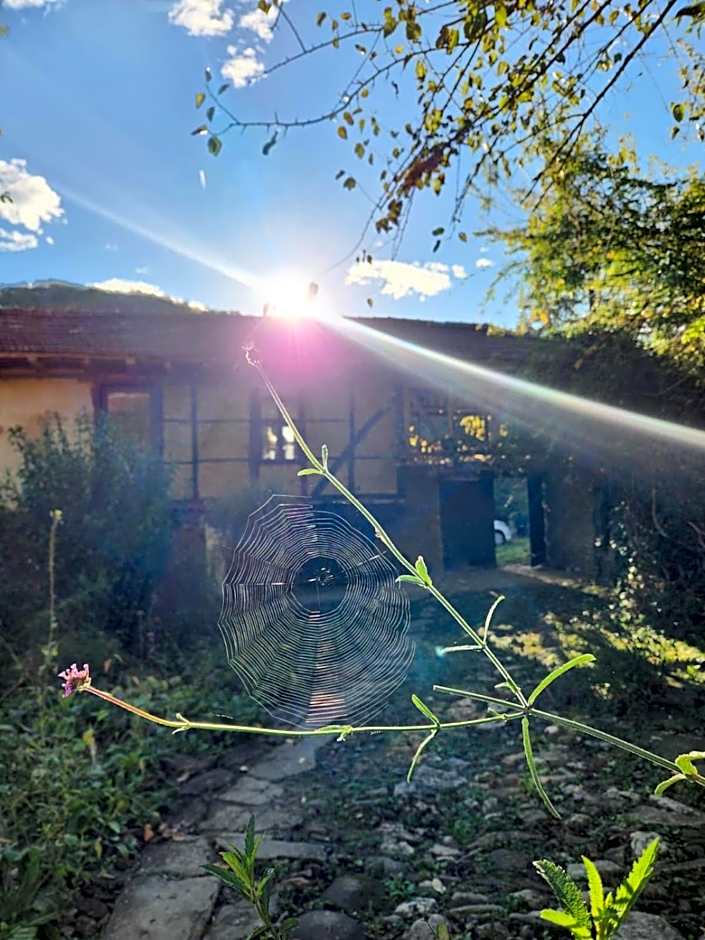 Little River Guest House