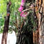 Collection O Hacienda El Salitre